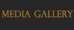 Media Gallery